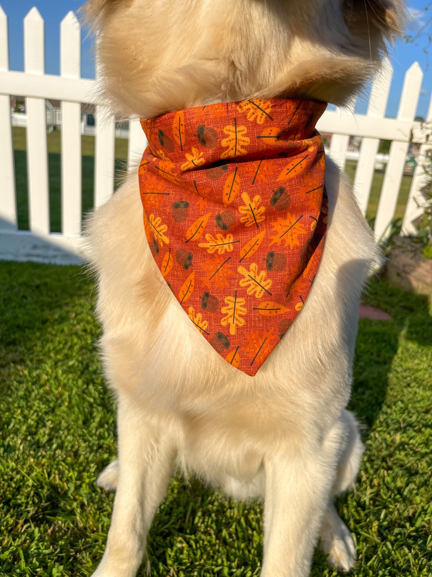 Acorn & Leaves Scrunchie Bandana