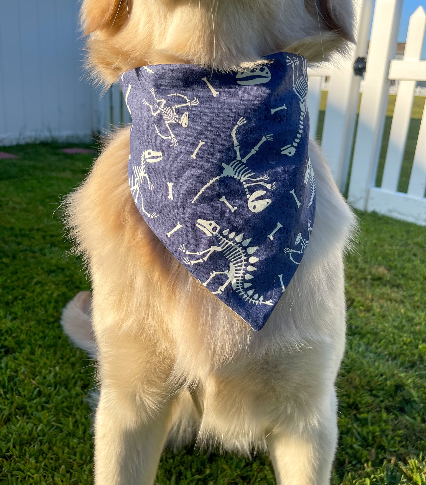 Glow in the dark Dino Scrunchie Bandana