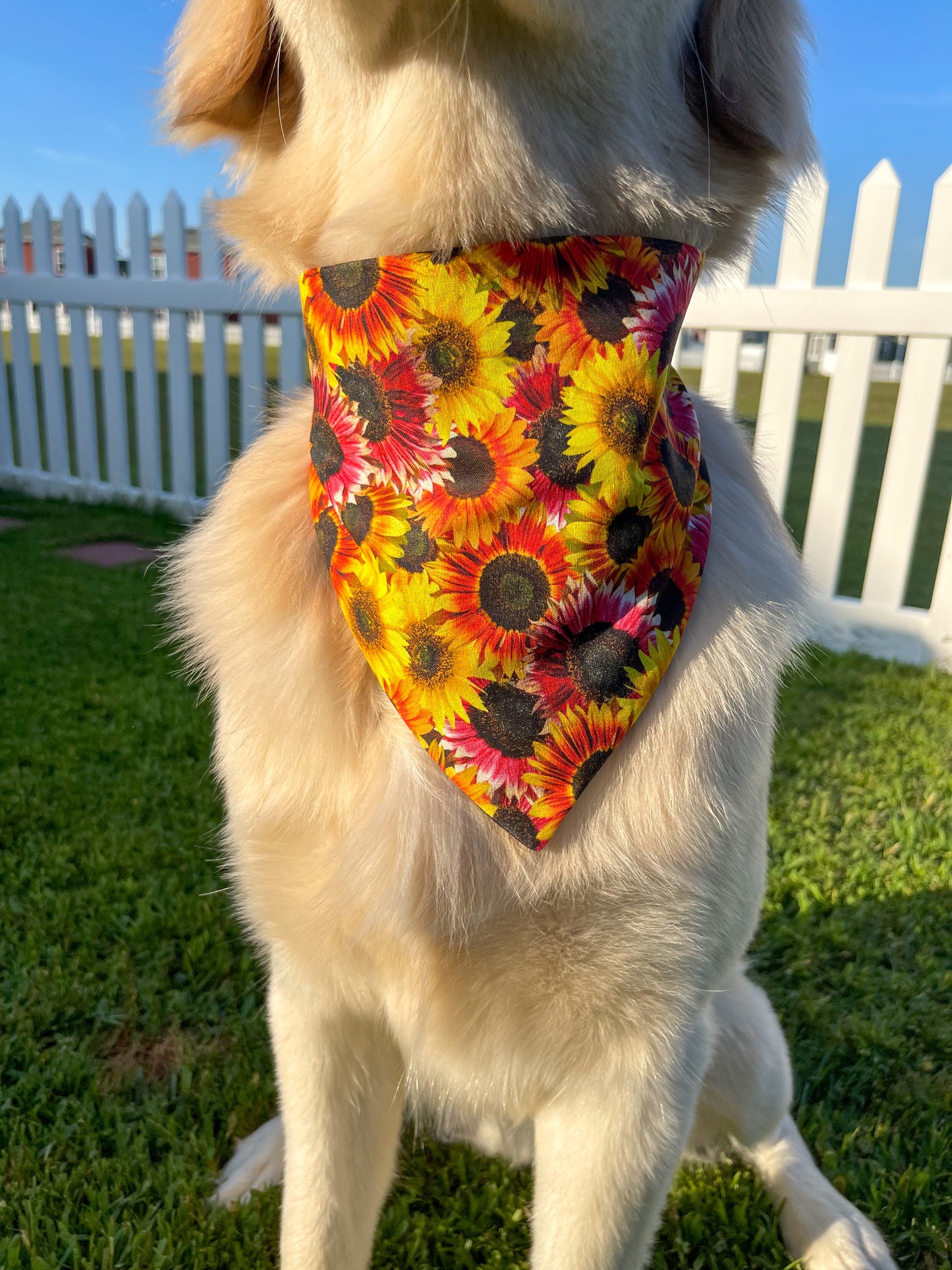 Fall Sunflower Scrunchie Bandana